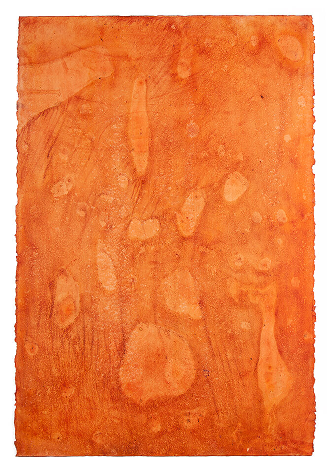 ACHIOTE papel 14.jpg